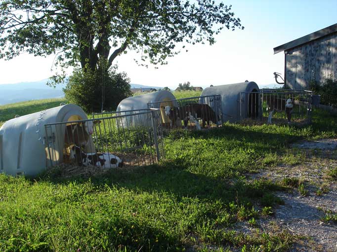 Sachverständigenbüro Johann Schachl - Bauernhof & Landwirtschaft